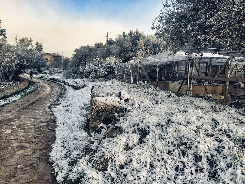 Naro Coscio Di Badia 빌라 외부 사진